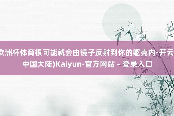 欧洲杯体育很可能就会由镜子反射到你的躯壳内-开云(中国大陆)Kaiyun·官方网站 - 登录入口
