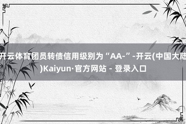 开云体育团员转债信用级别为“AA-”-开云(中国大陆)Kaiyun·官方网站 - 登录入口