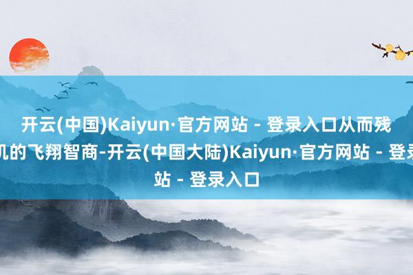 开云(中国)Kaiyun·官方网站 - 登录入口从而残害敌机的飞翔智商-开云(中国大陆)Kaiyun·官方网站 - 登录入口